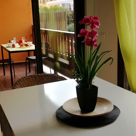 Palm Mar Holiday Home Lejlighed